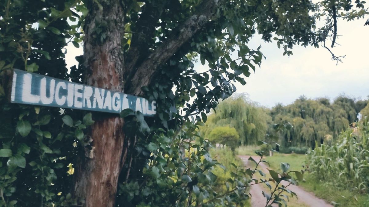 El Llanito 'Los Ailes' Michoacán