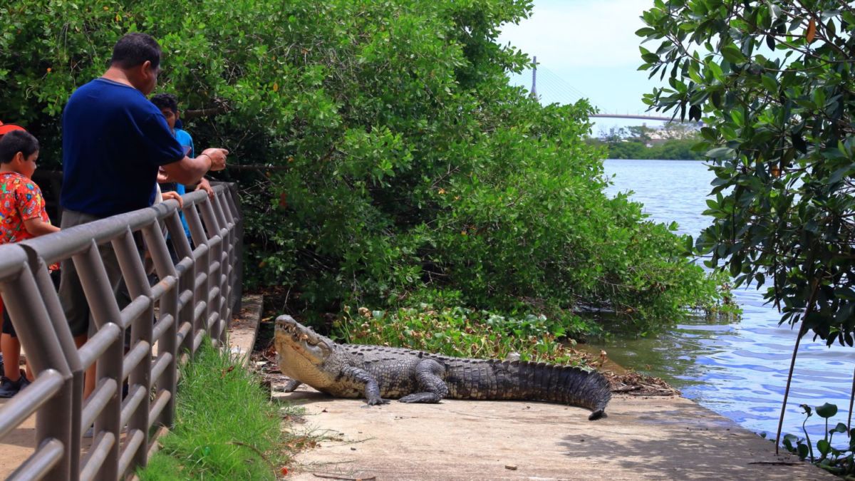 Laguna del Carpintero