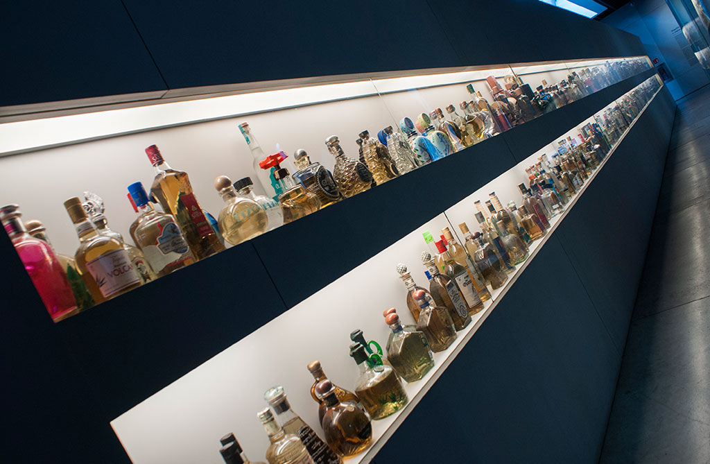 exposición del MUTEM