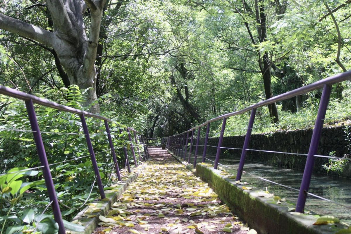 Trotapista en Cuernavaca
