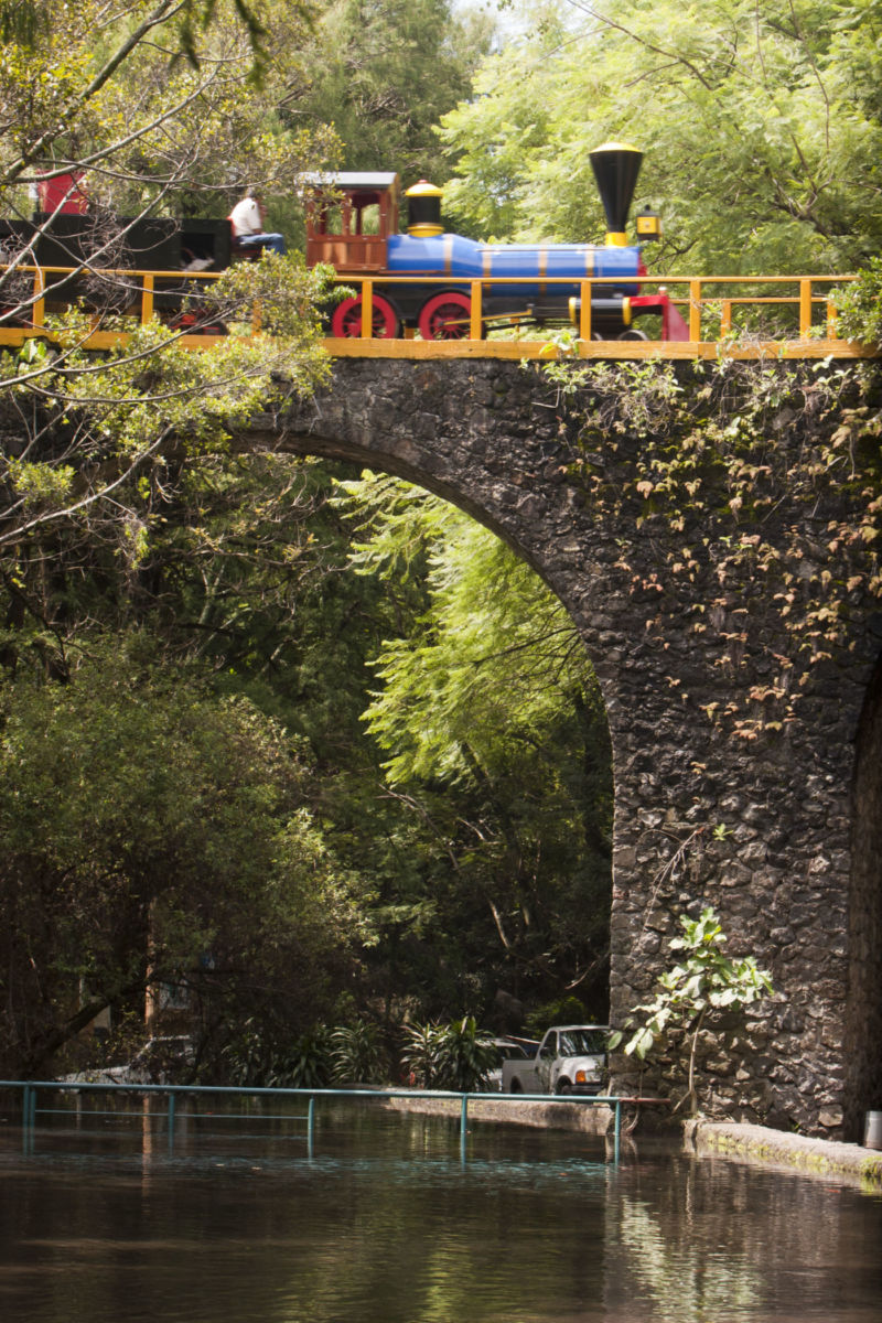 Tren panorámico en la Barranca de Chapultepec 