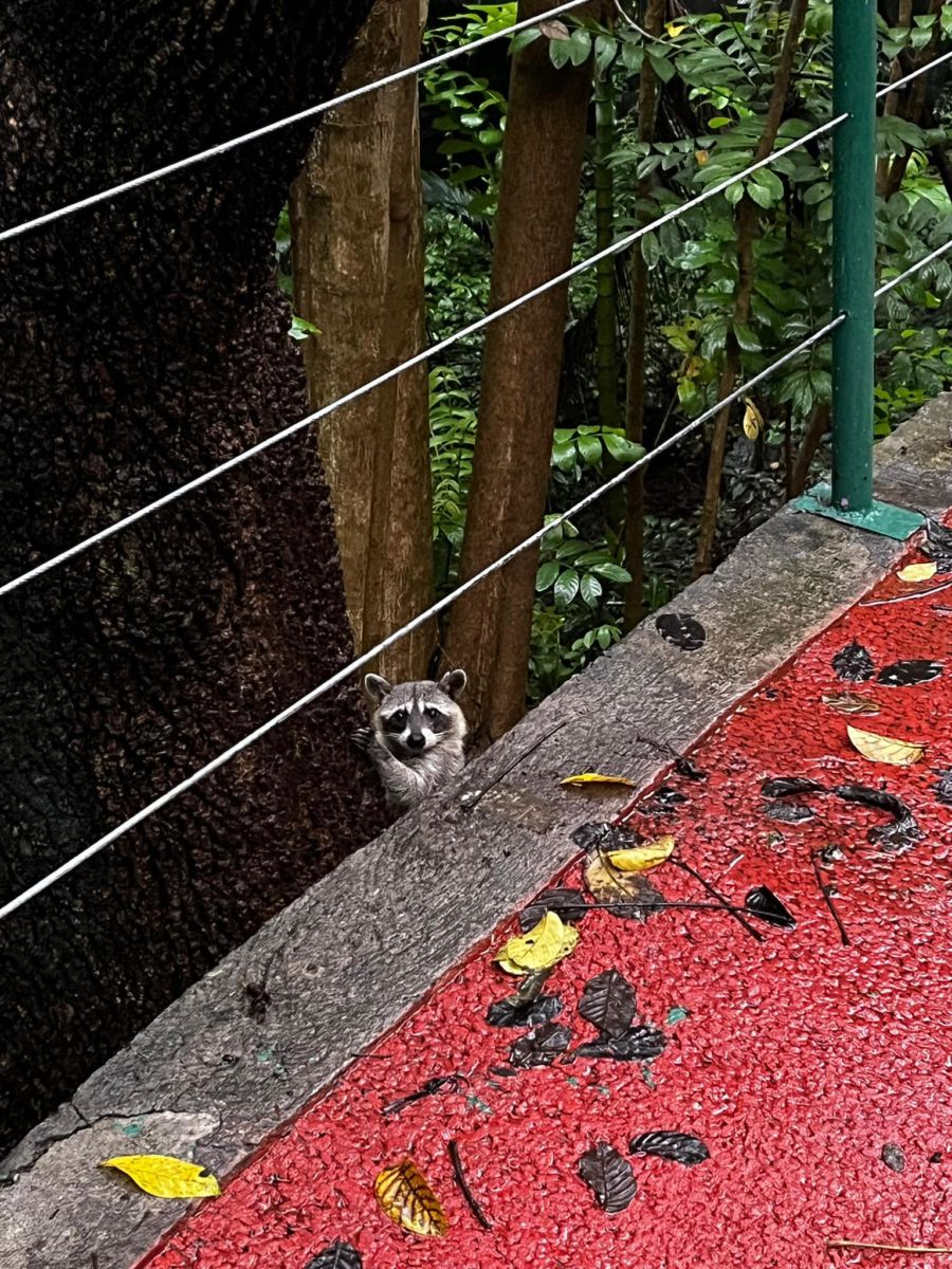 Barranca de Chapultepec en Cuernavaca