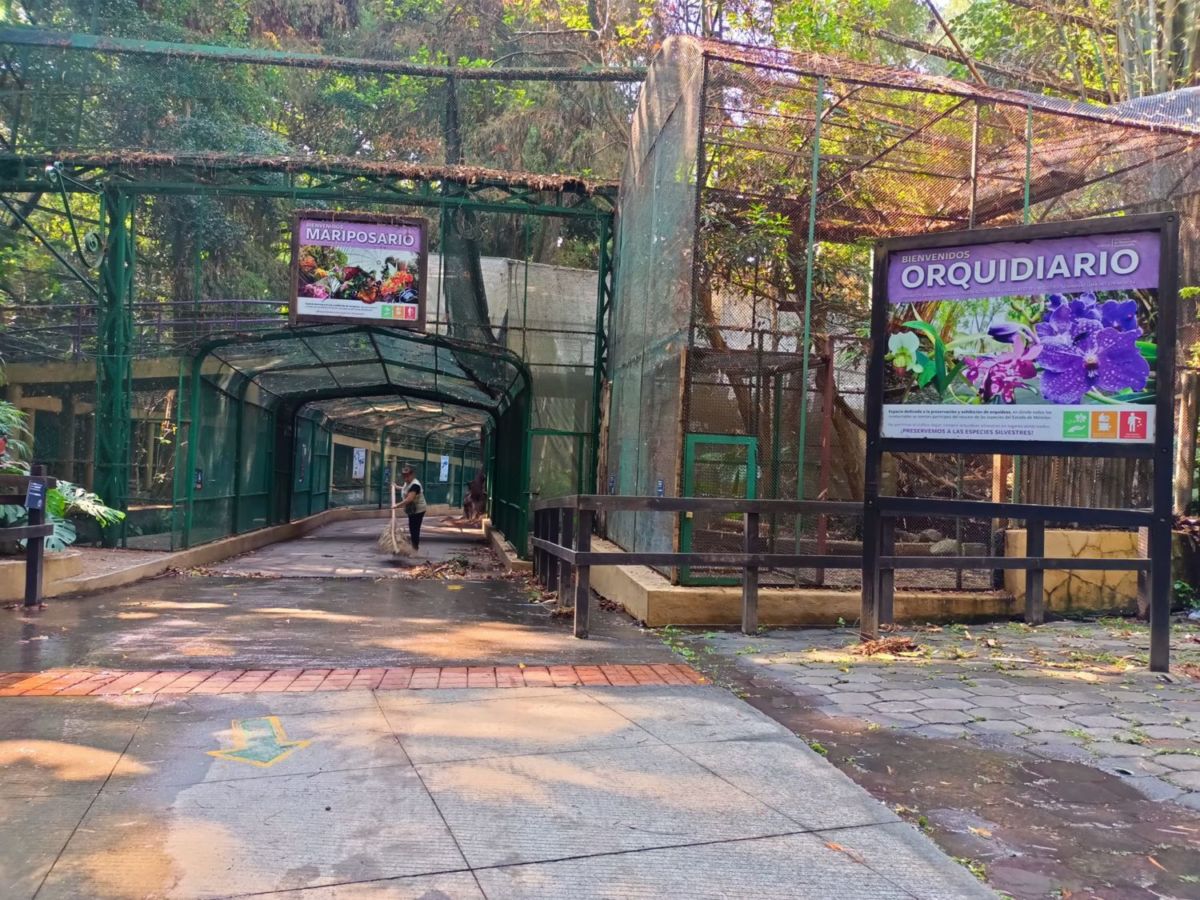 Orquidario y mariposario en Cuernavaca 