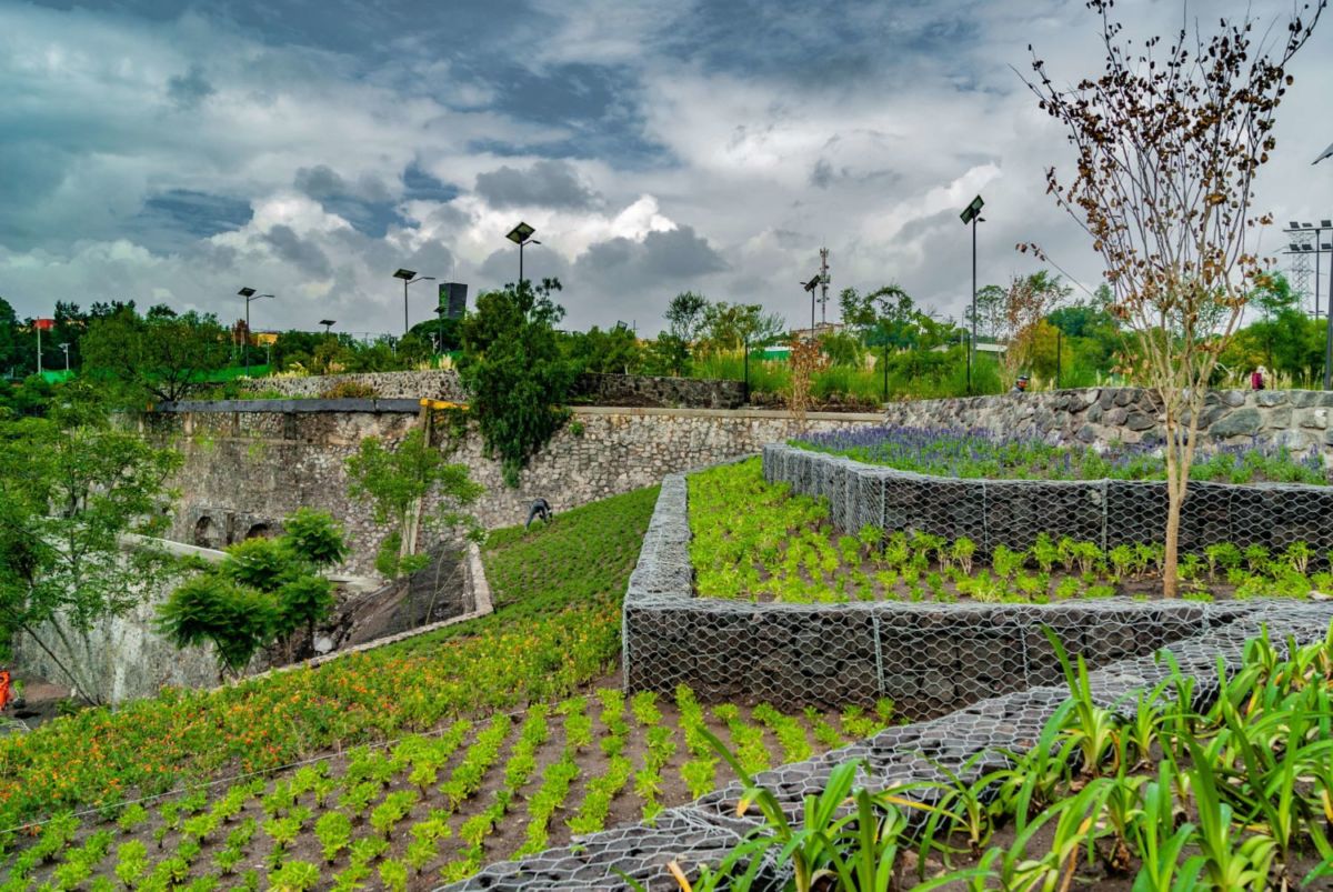 Parque La Cantera