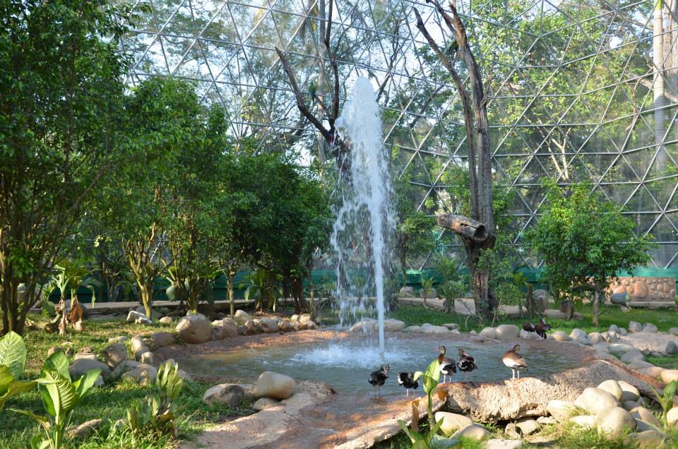 Zoológico en el Parque Museo La Venta