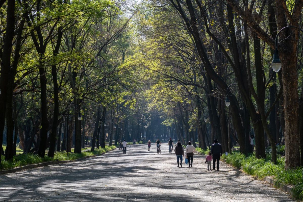 Los parque públicos más bonitos de la CDMX para ir ahora que se anunció buena calidad de aire 