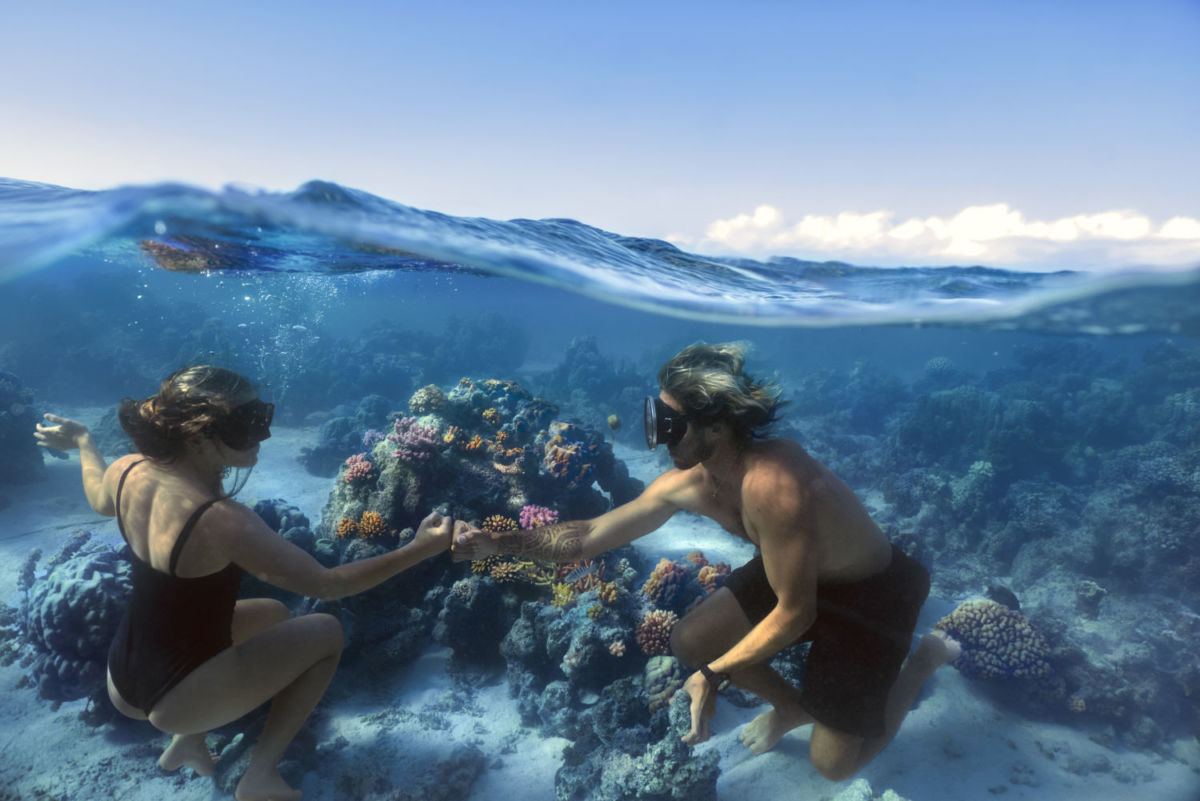 Kenzo protege los arrecifes de coral com parte de su compromiso y cuidado del medio ambiente 