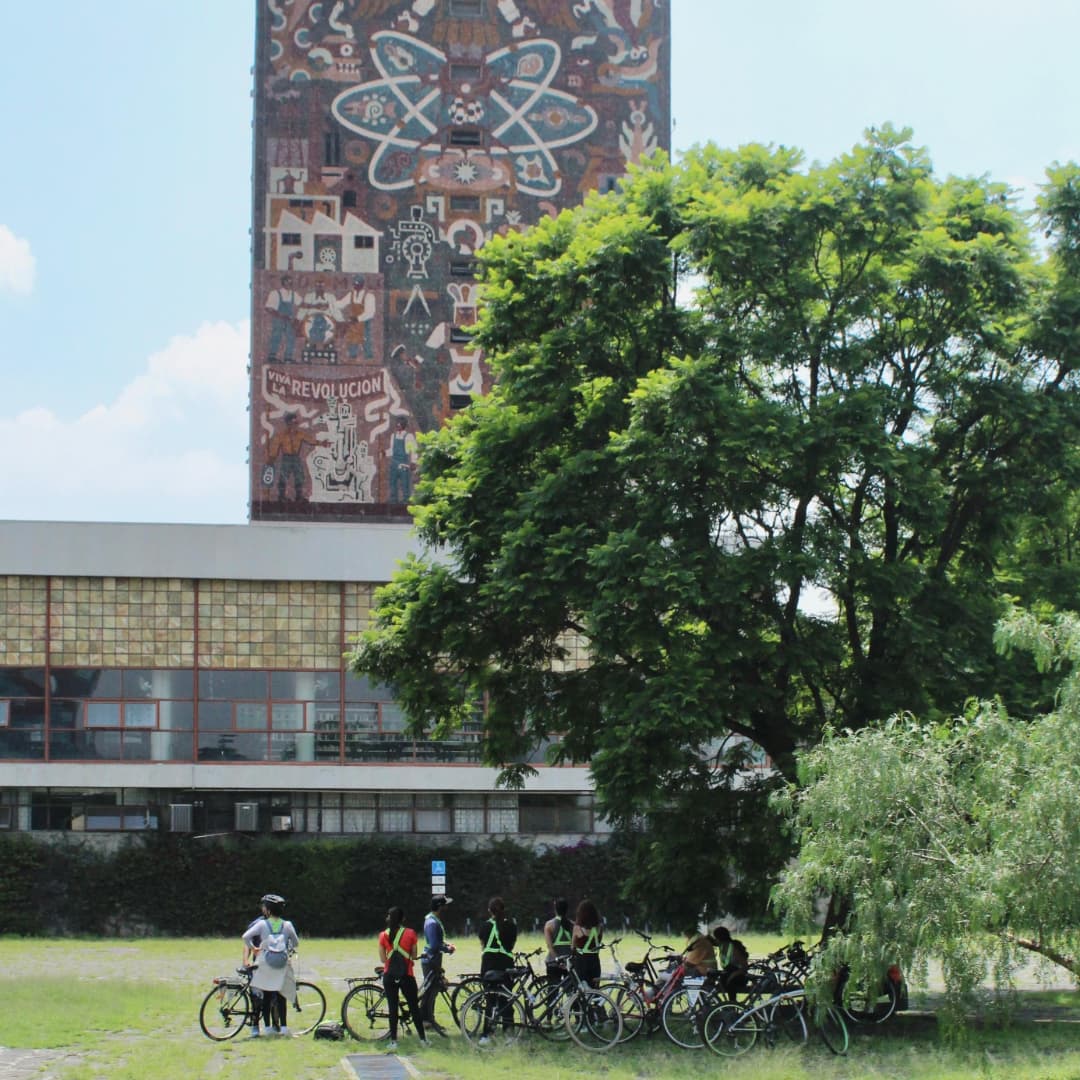 Torus en bicicleta para conocer la arquitectura de la ciudad