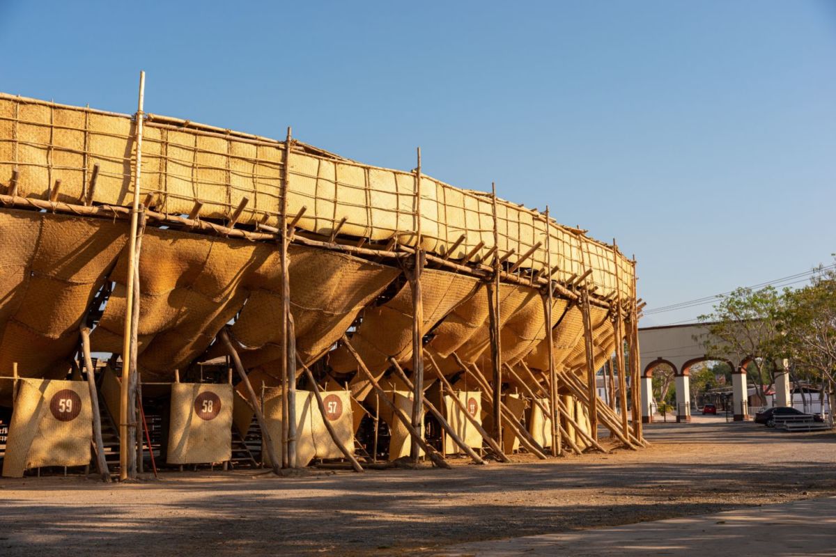 Conoce la plaza de toros en México que está hecha con petates