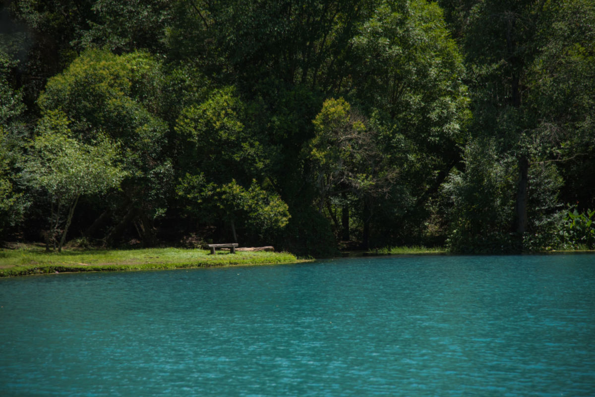 El Bosque de Las Truchas es un parque natural en Huasca de Ocampo 