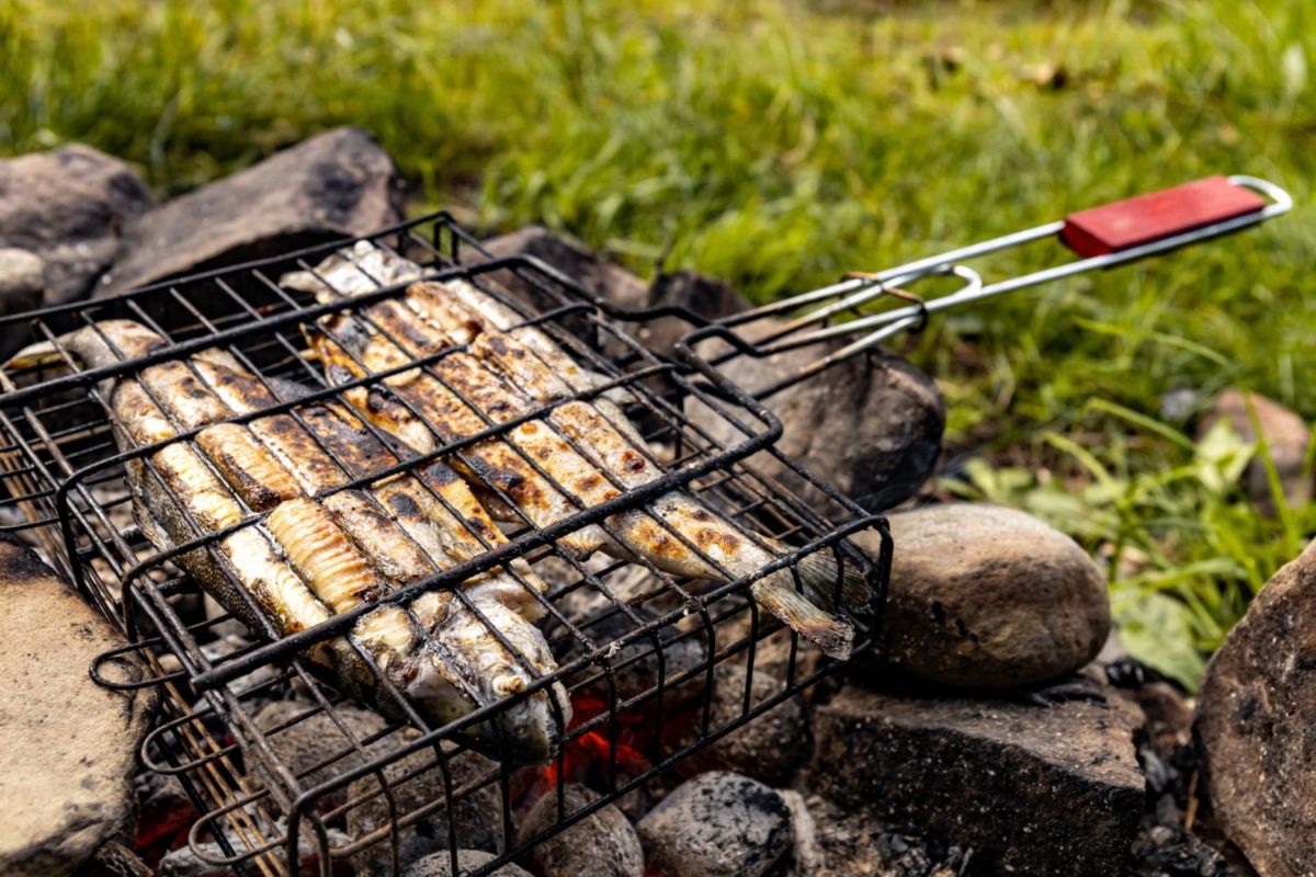 Dónde comer trucha en México 