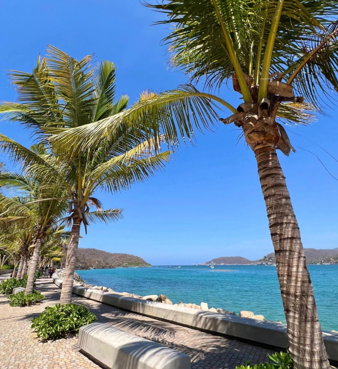 Paseo Capricho del Rey