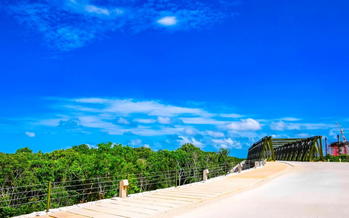 recorridos en tren por Quintana Roo 