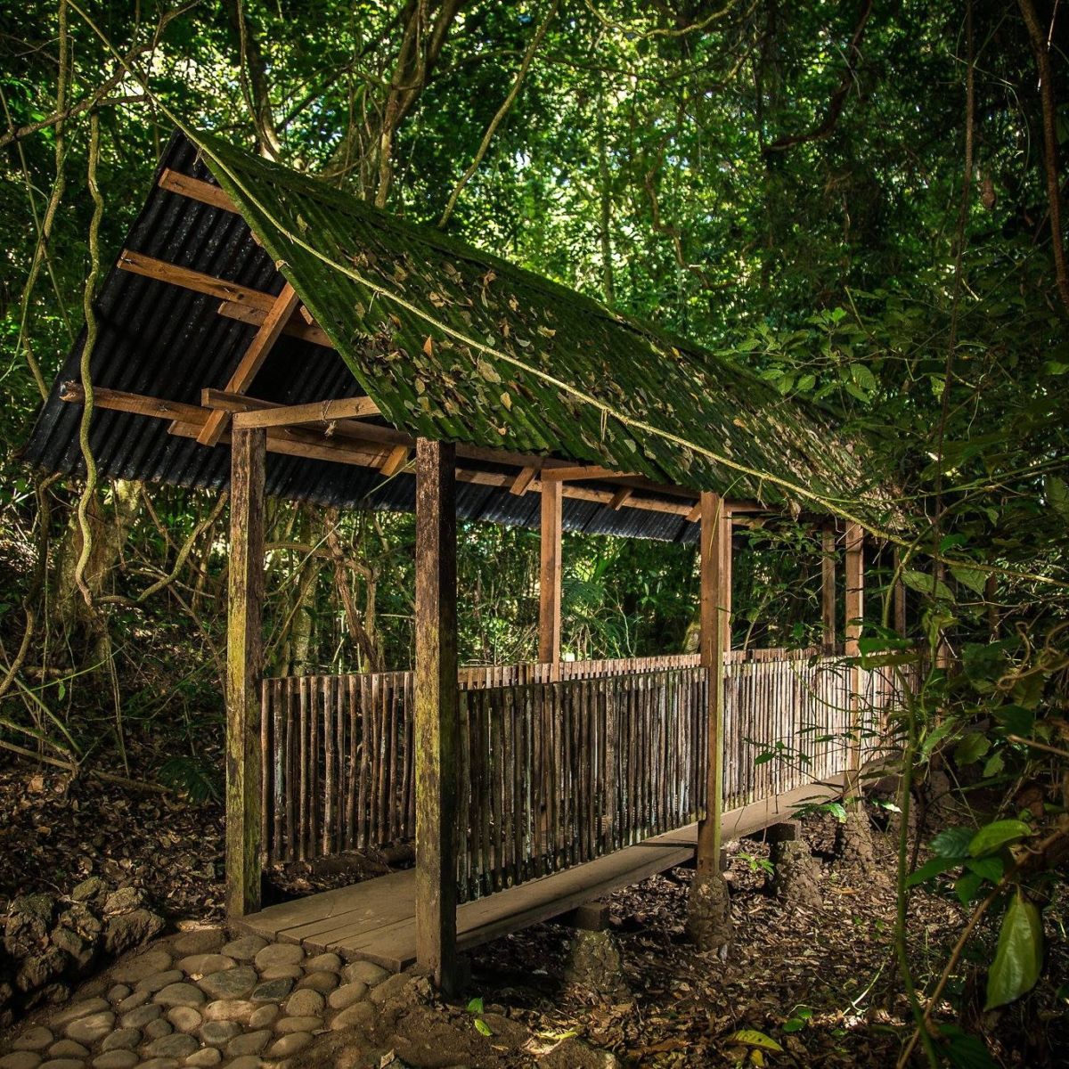 Reserva Ecológica Nanciyaga