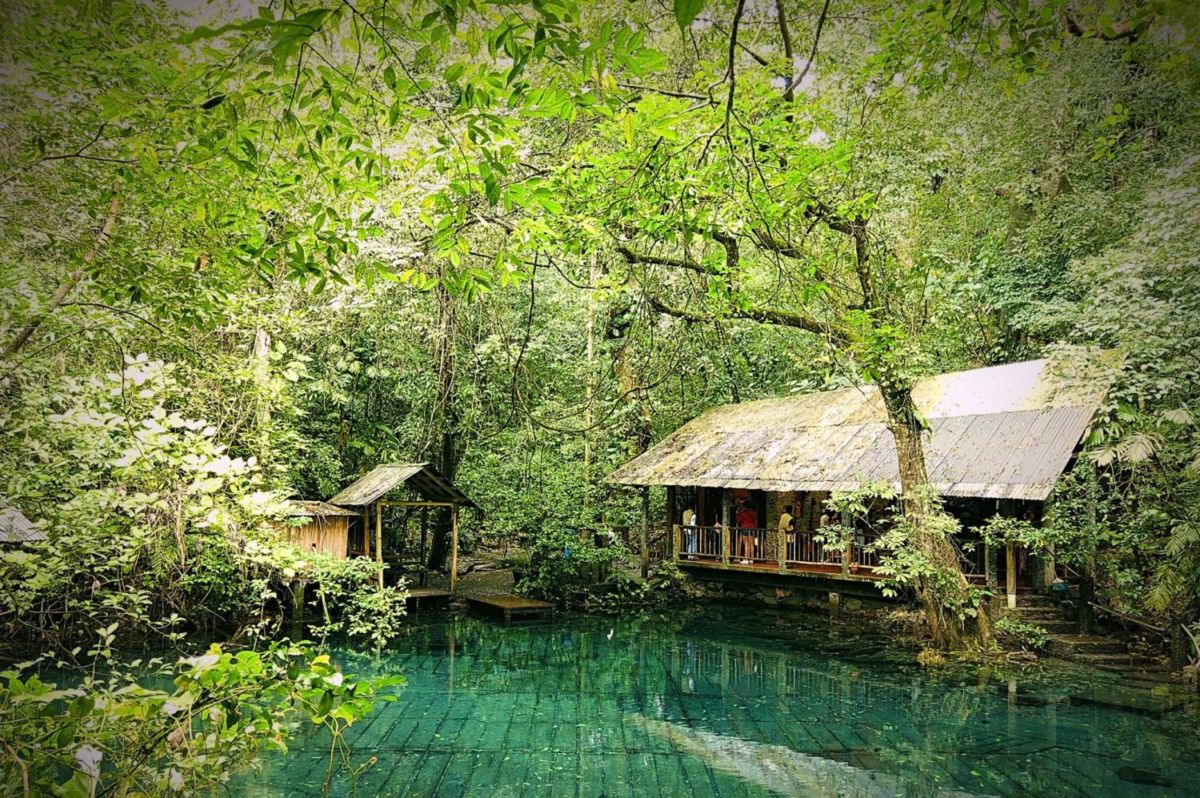 Reserva natural en Veracruz