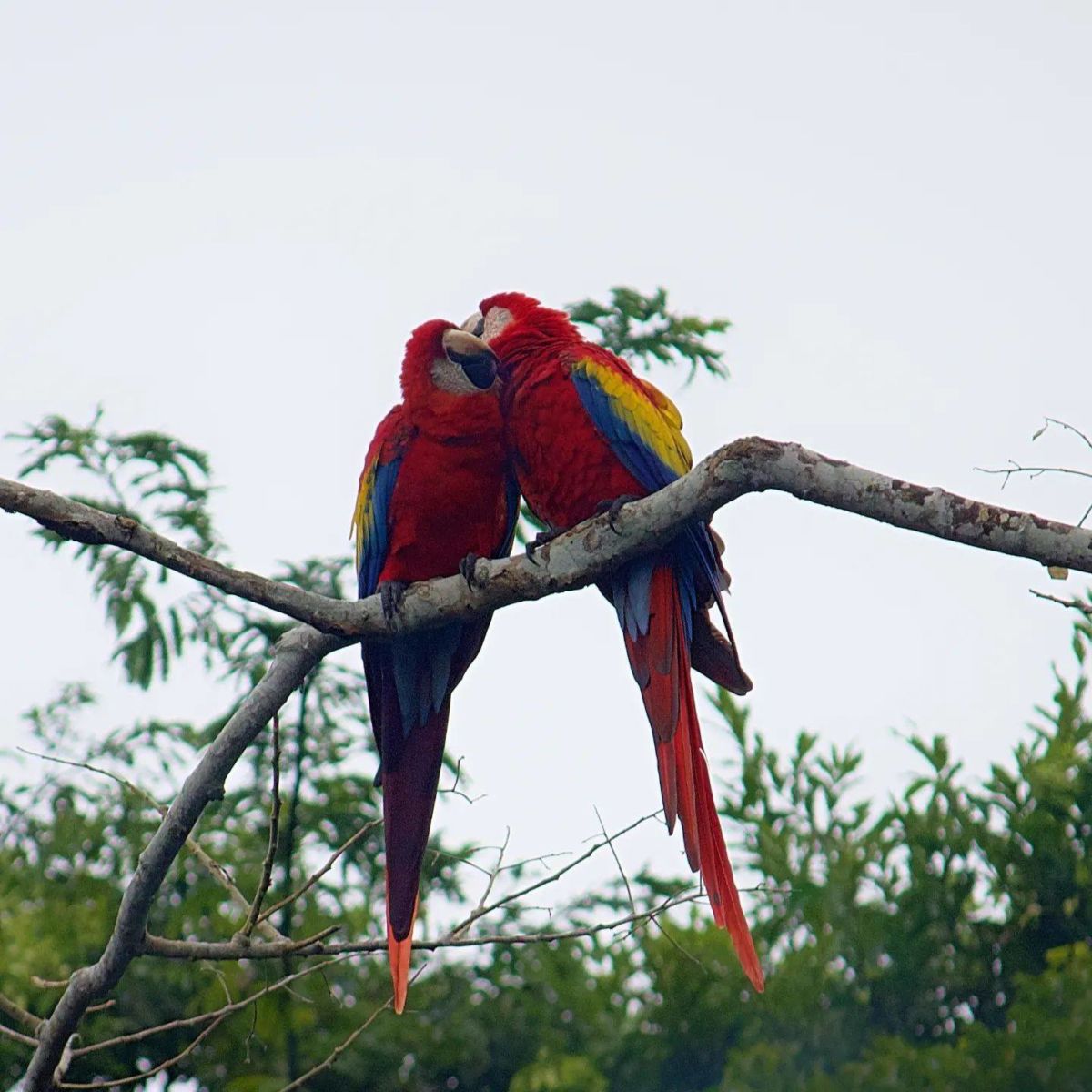 Reserva ecológica en Veracruz 
