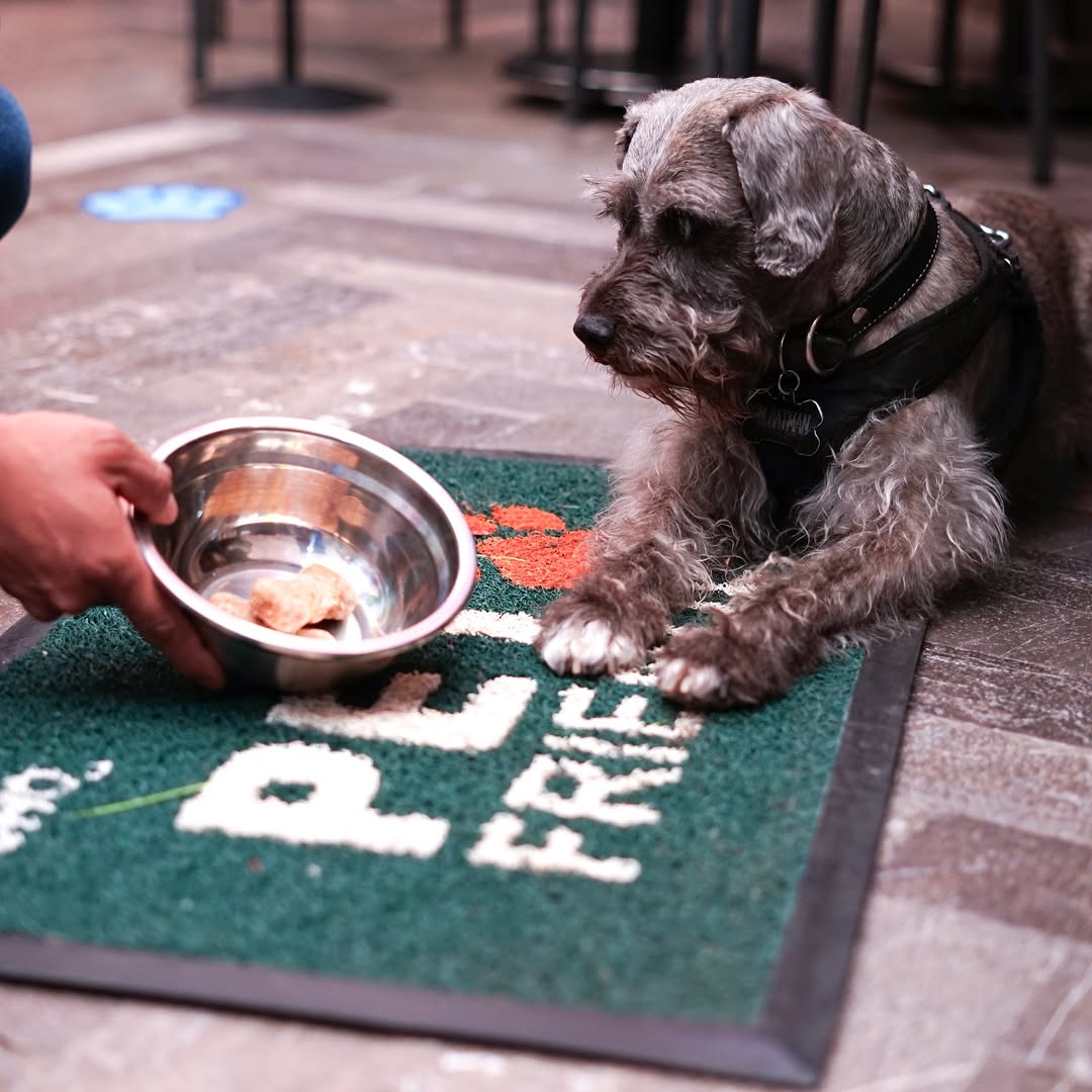 El Ocho Café Recreativo 