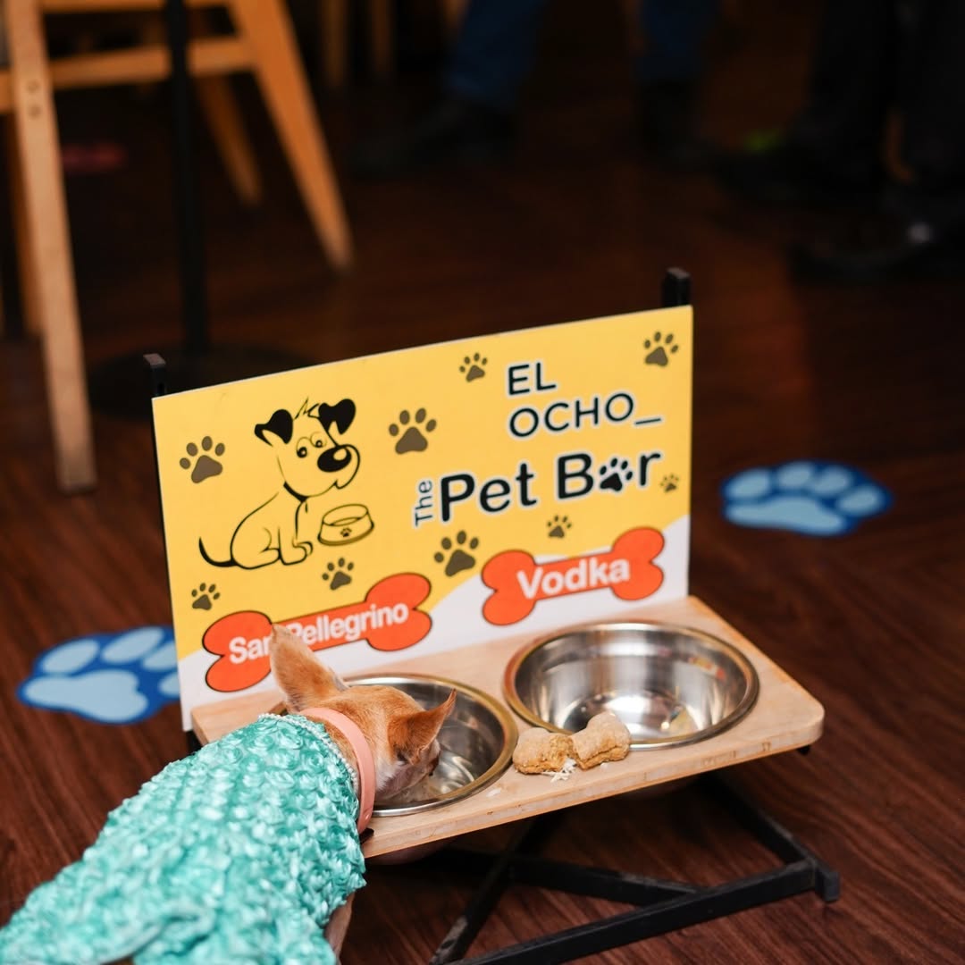 Restaurantes con menú para perros en CDMX