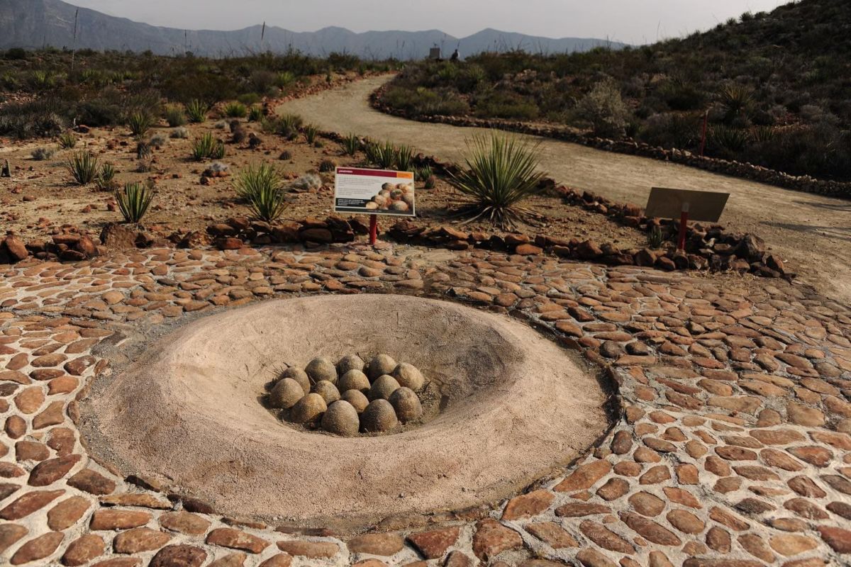 Rincón Colorado en Coahuila