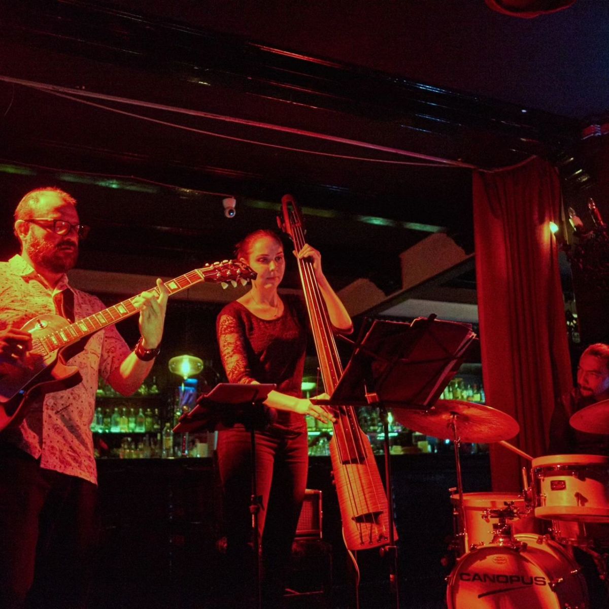 Conciertos en el Salón Bach