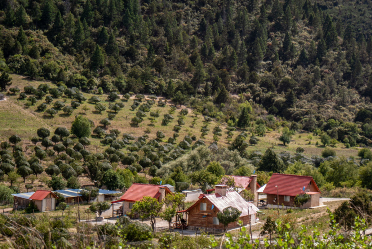 San Antonio de las Alazanas en Coahuila