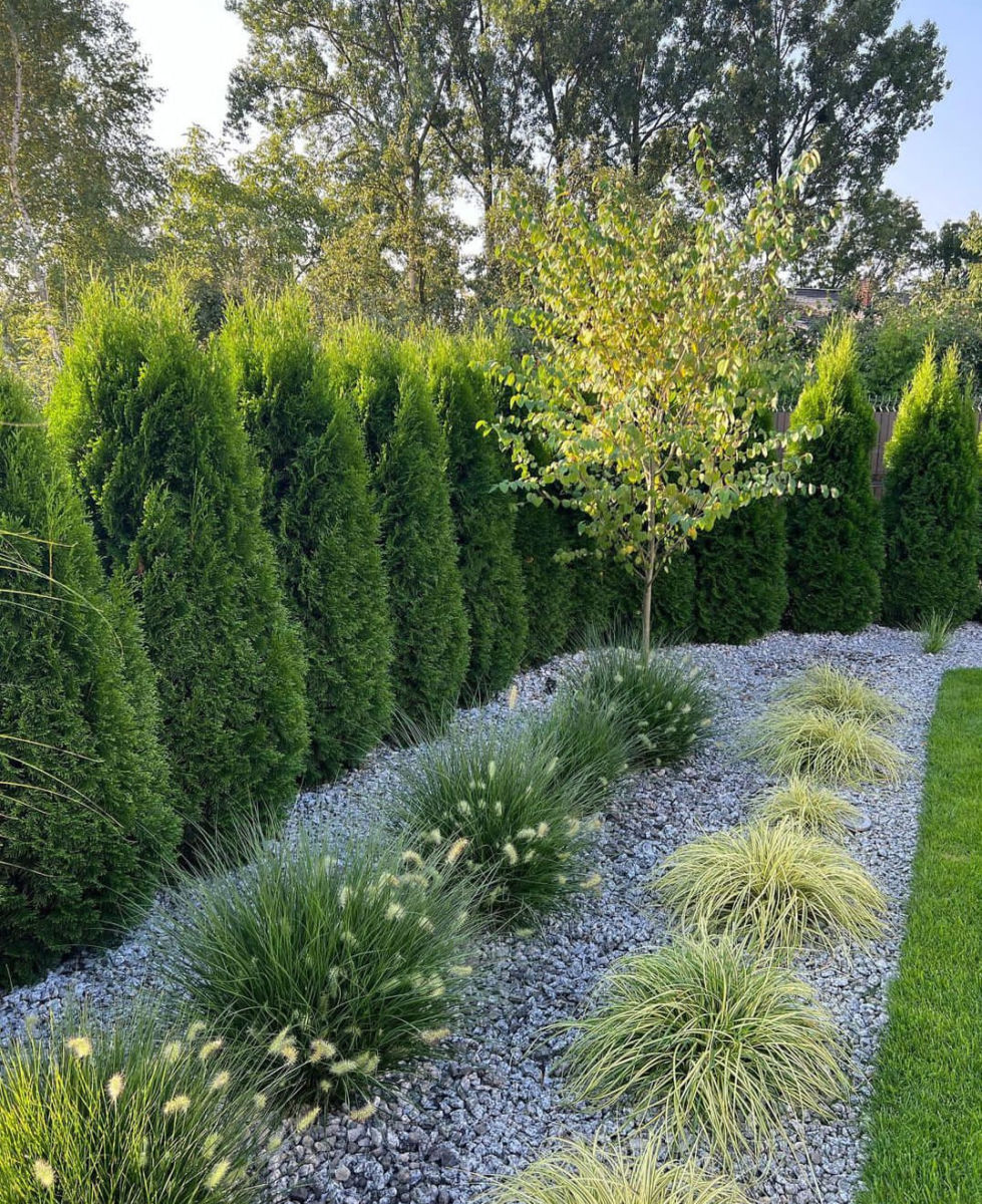 Recorridos guiados por Viveros Mis Amores 