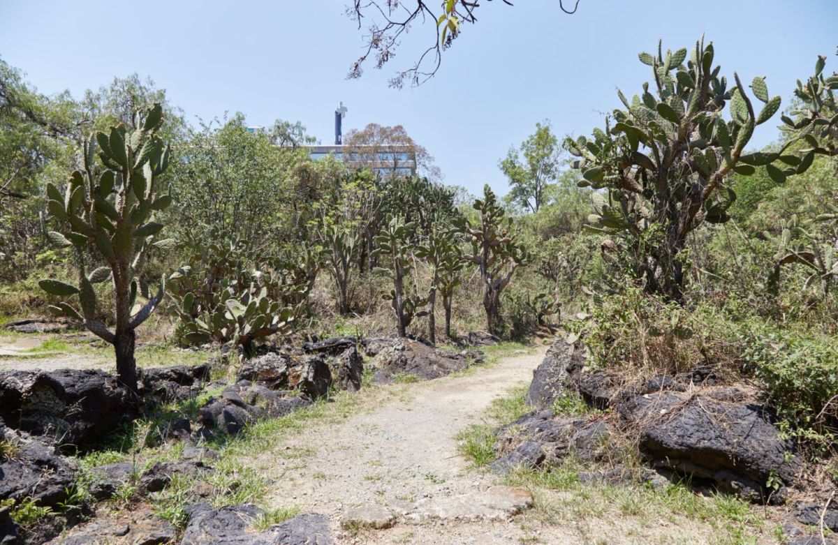 Reserva ecológica de Cuicuilco