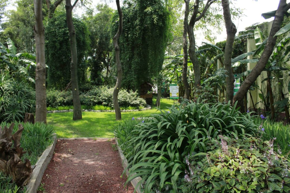 Zoológico de los Coyotes en Coyoacán