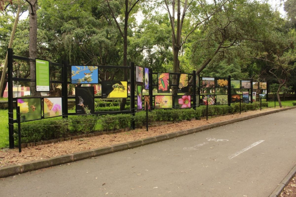 Zoológico de los Coyotes en Coyoacán