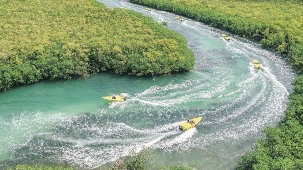 ¿Fuiste a Cancún y no saliste del hotel? Estas actividades son perfectas para conocer el destino más allá de los resorts