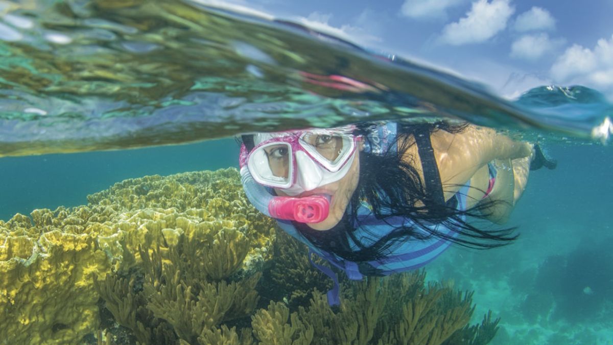 Jungle Tour Snorkel