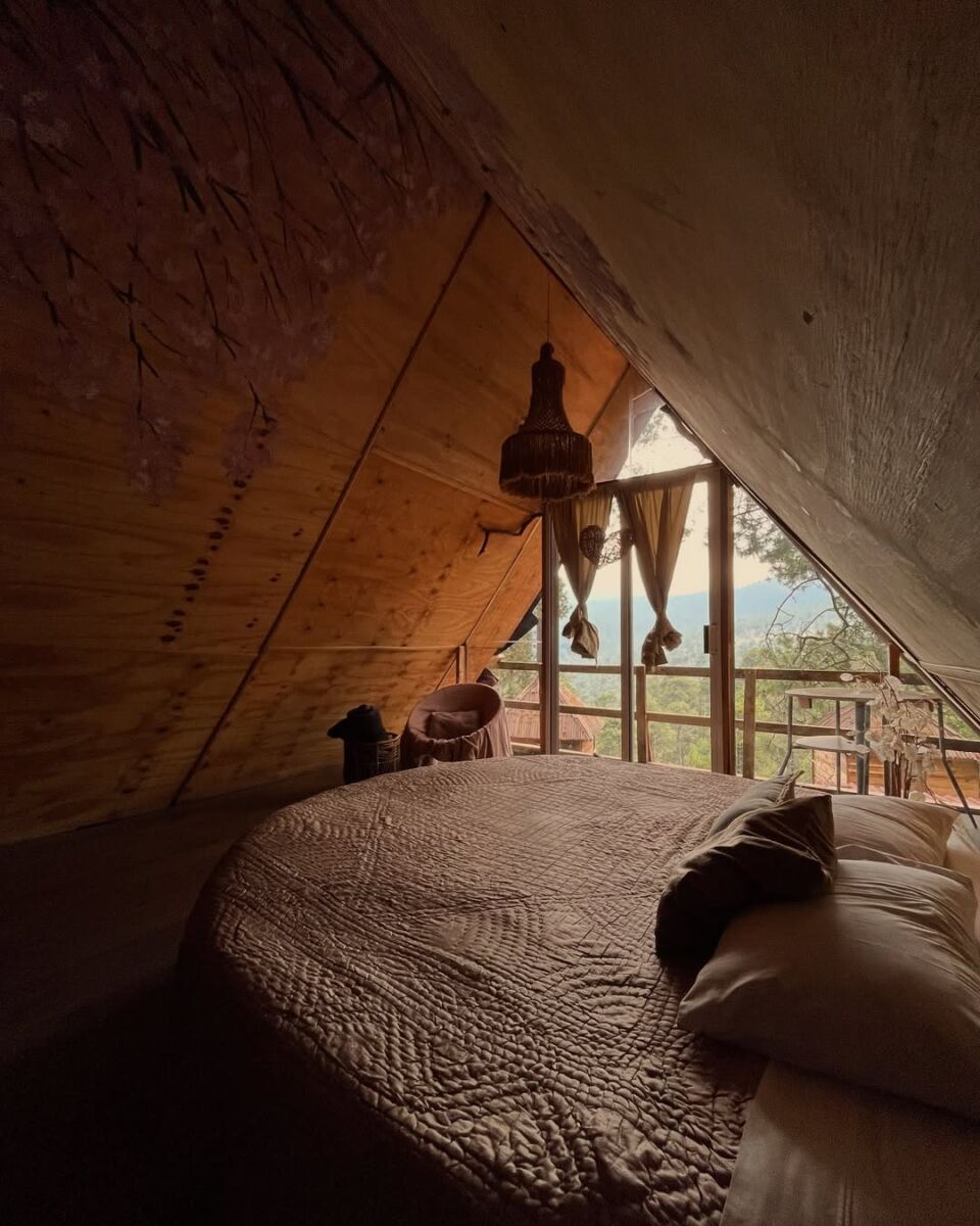 Cabaña en medio de la naturaleza 