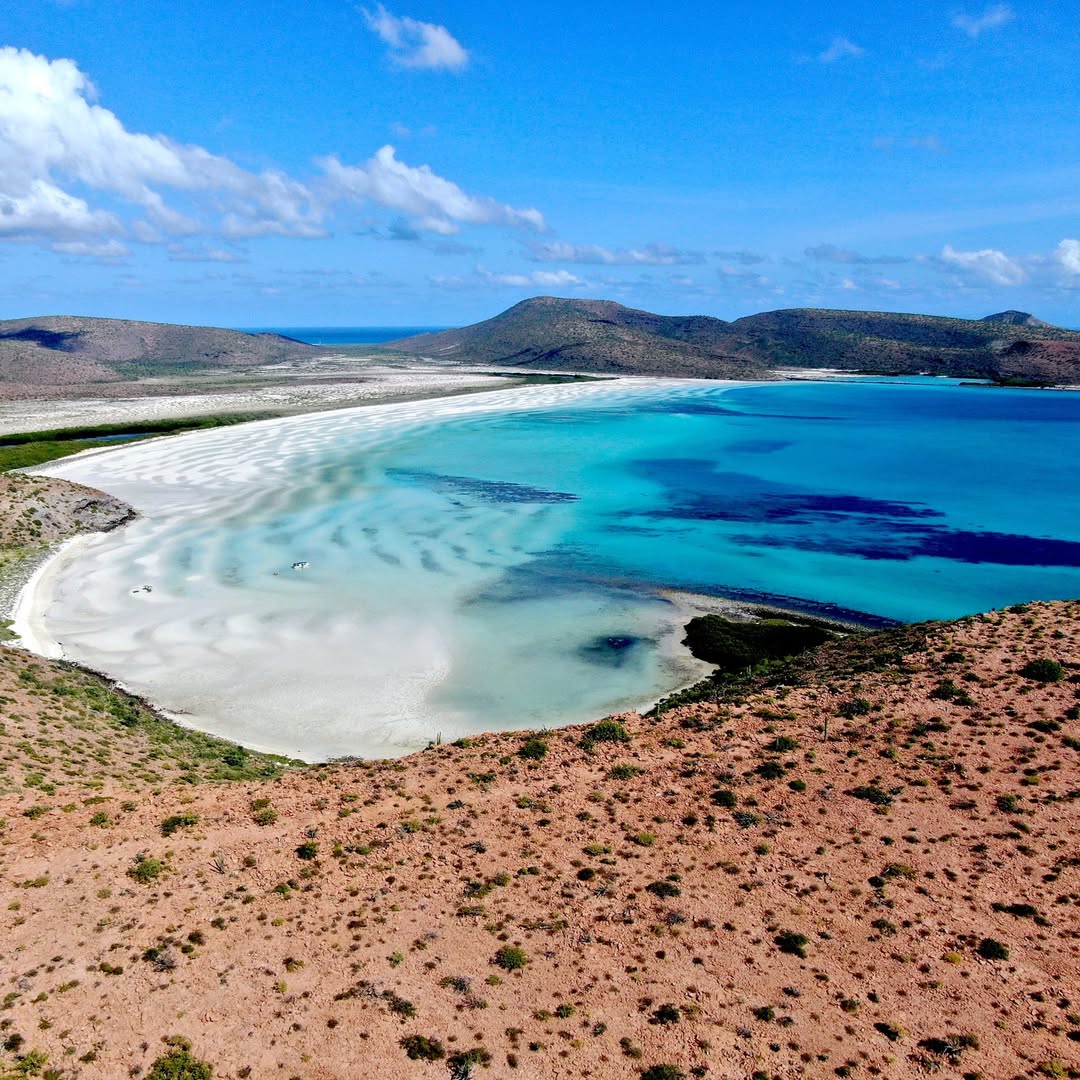 La Isla Espíritu Santo es el hogar de peces, aves marinas, mamíferos y plantas 