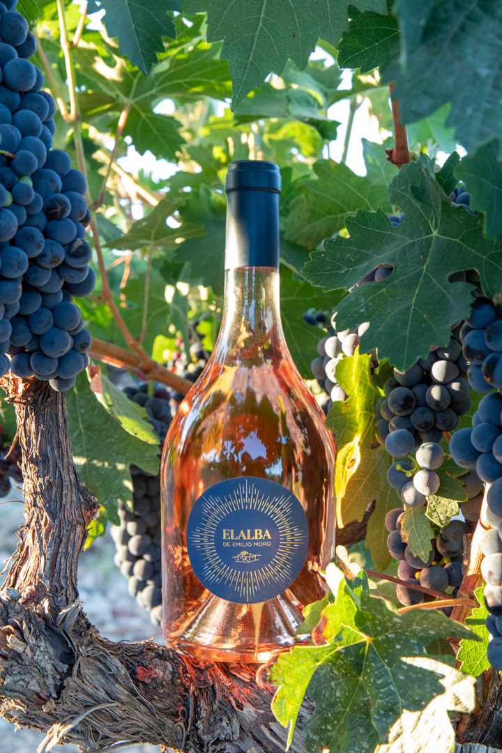 vinos para tener en casa