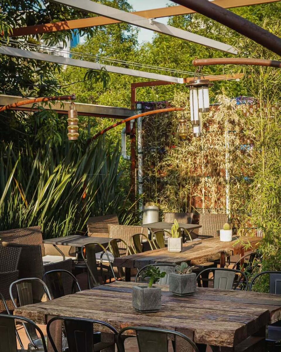 Casi nadie sabe que existe una terraza para tomar café en la Roma con preciosas vistas, poca gente y música en vivo 