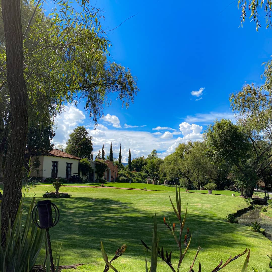 jardines hacienda la magdalena