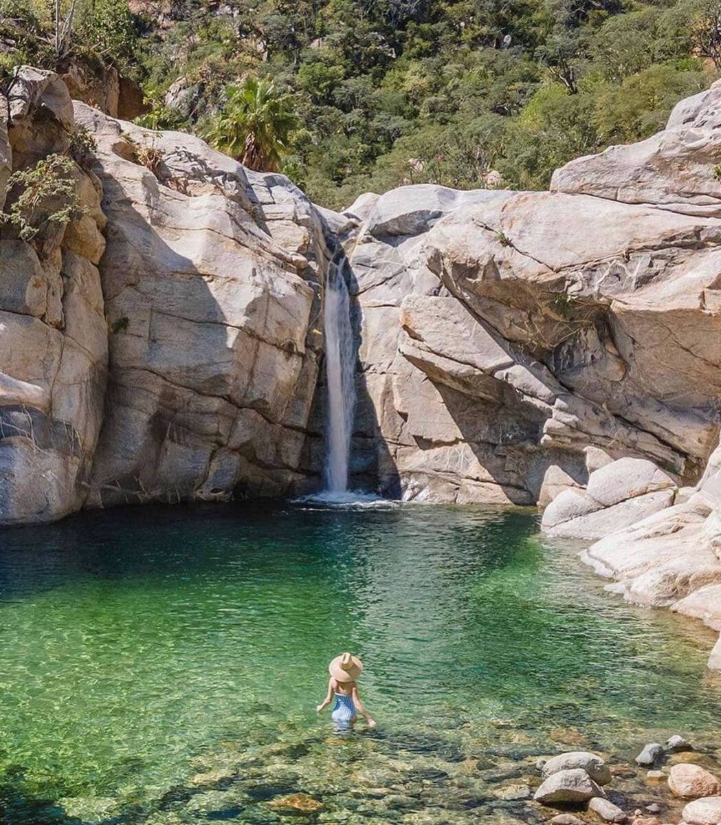 Si ya conoces las playas de Los Cabos y quieres un plan diferente, conoce este oasis donde puedes nadar en medio del desierto