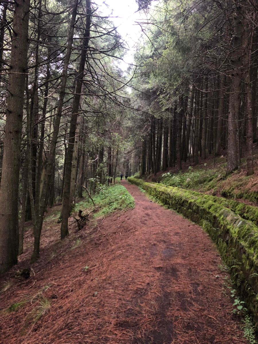 Camino a la Cascada de los Diamantes