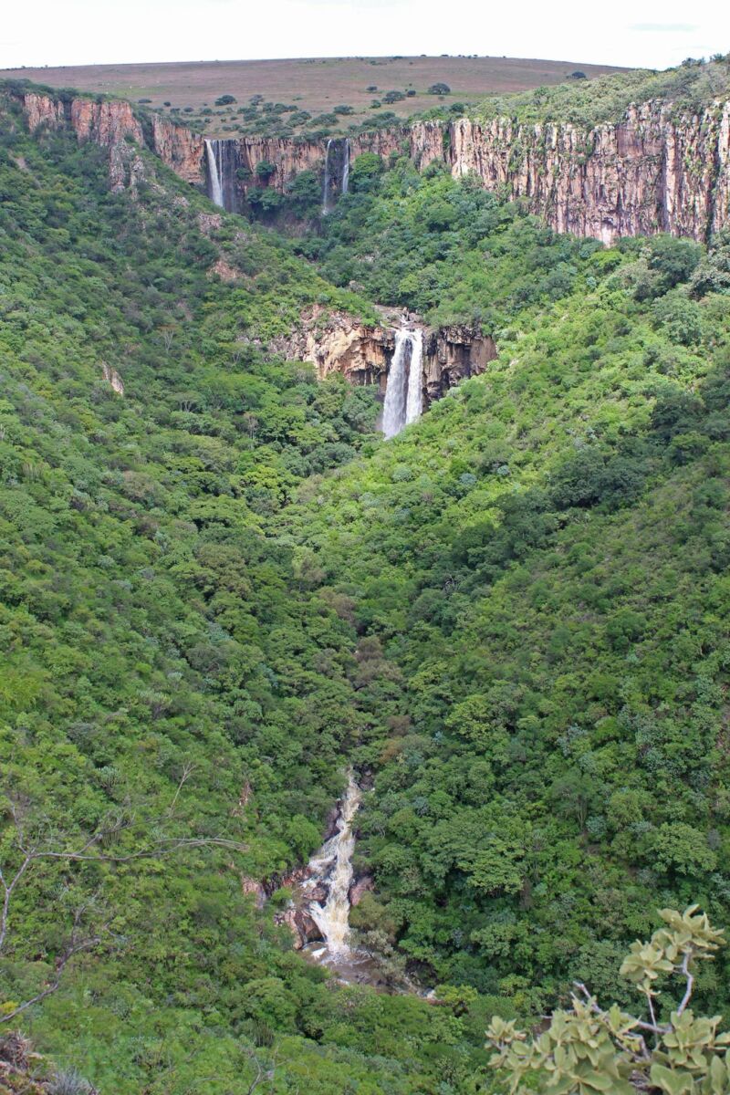 Barrancas de Monte Escobedo, Zacatecas 
