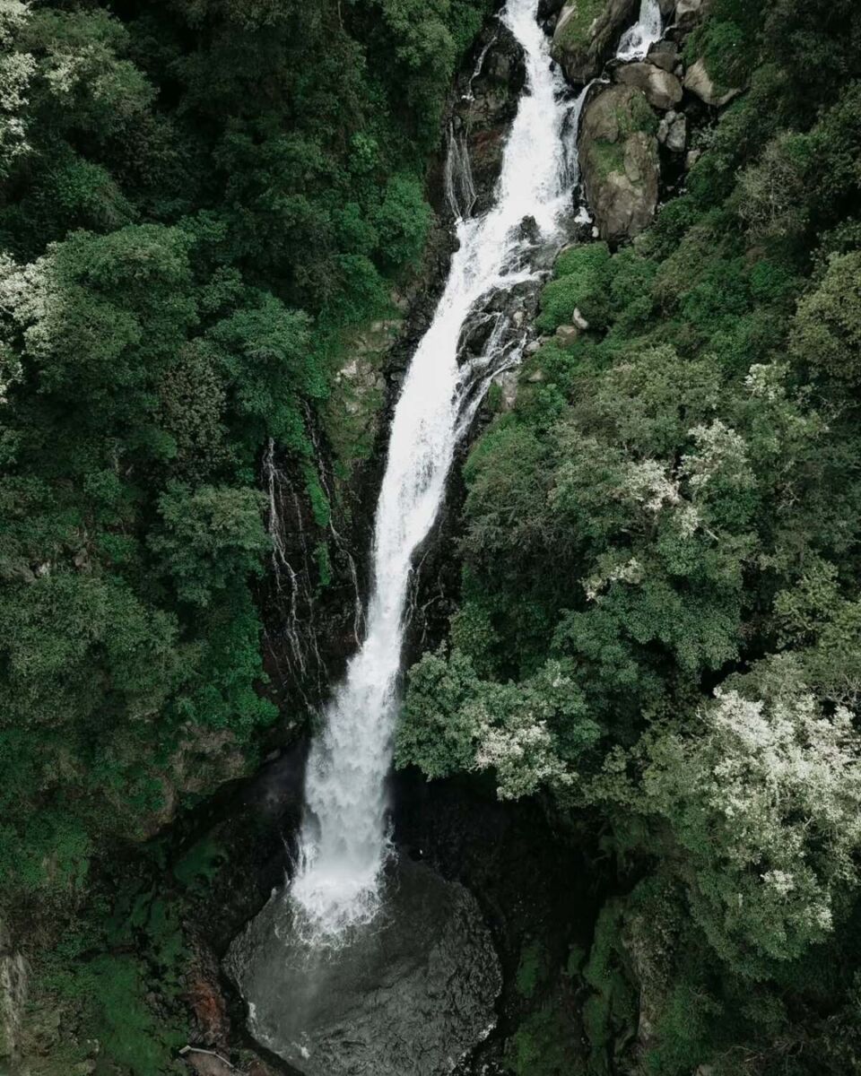 Las 4 cascadas más altas de Puebla que se ven divinas esta temporada de lluvias