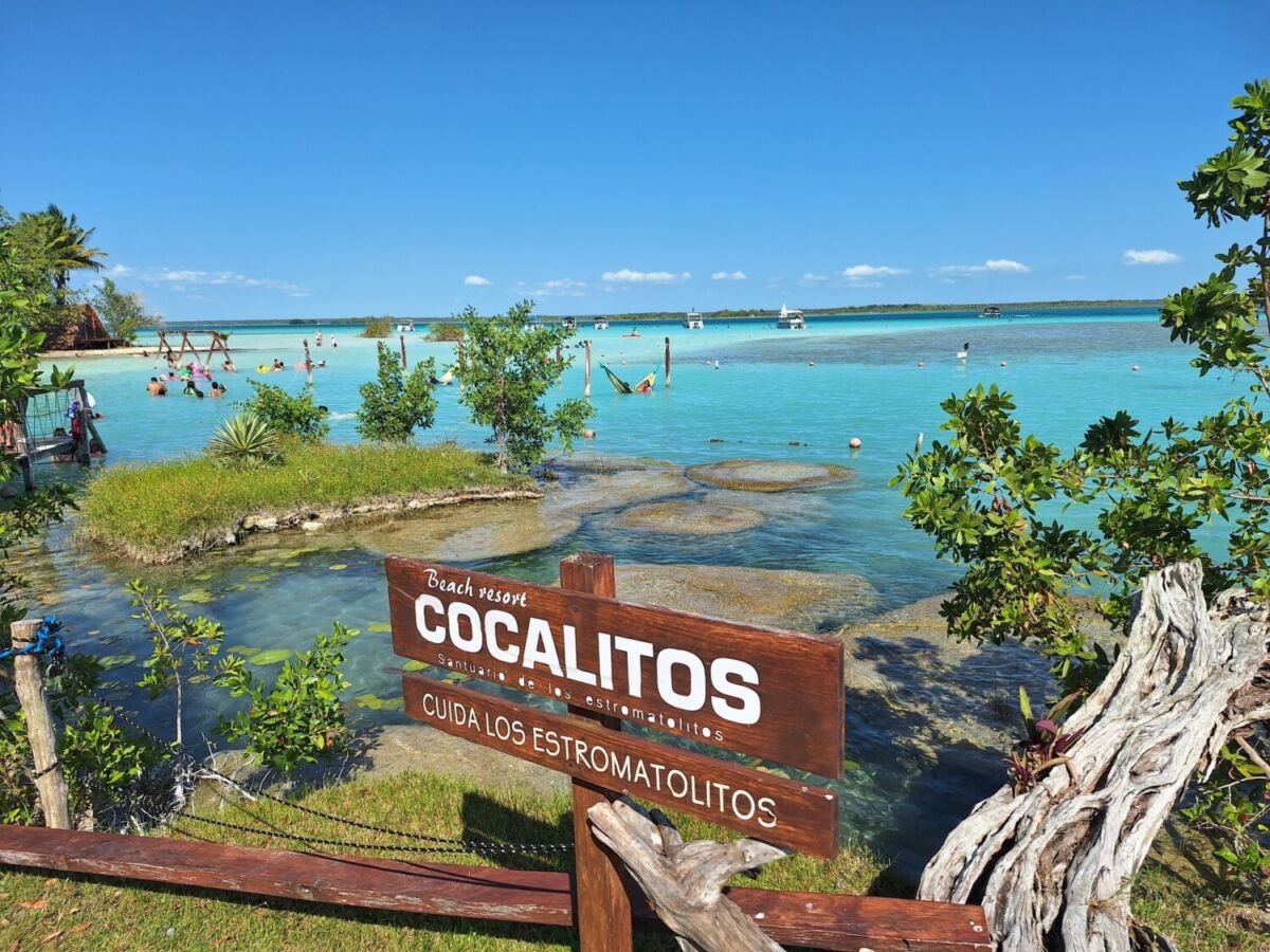 Cocalitos en el Pueblo Mágico de Bacalar 