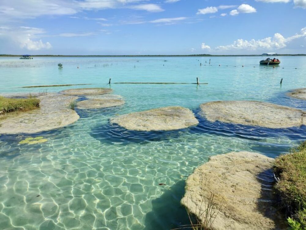 Estromatolitos en Bacalar 