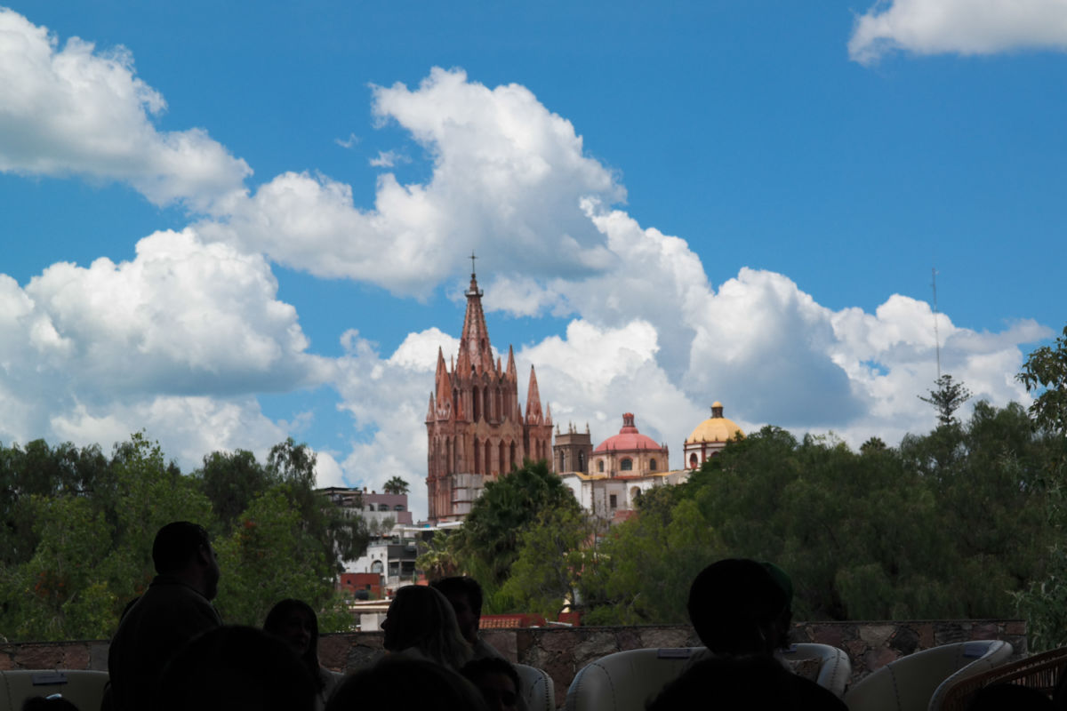 bienvenida festival endémico de guanajuato