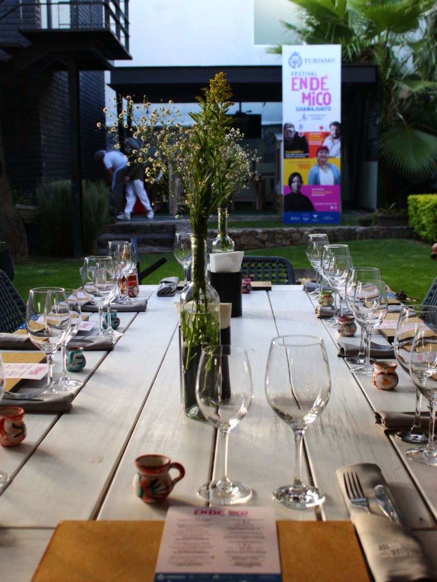 restaurante bixa festival endémico de guanajuato