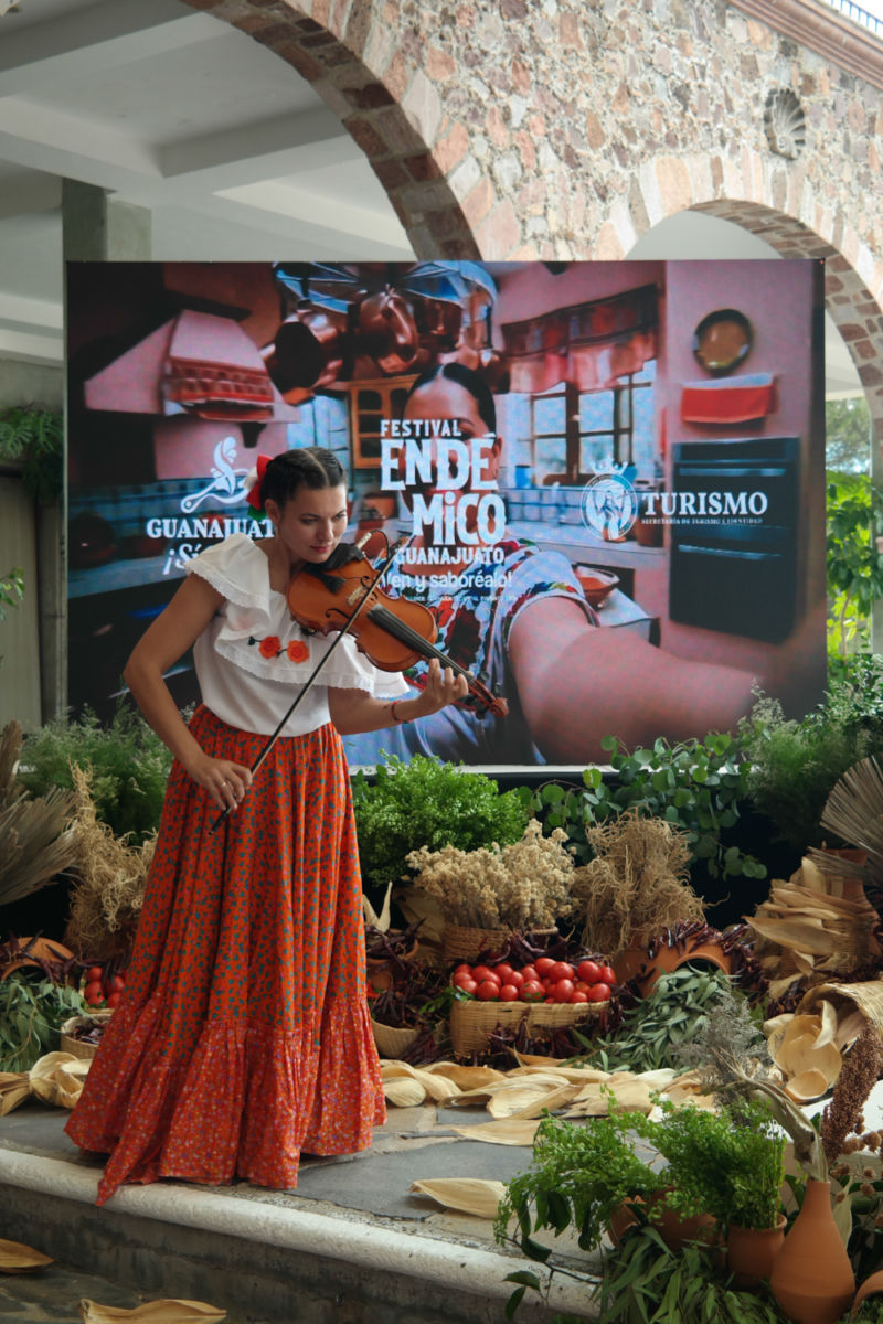 bienvenida festival endémico de guanajuato