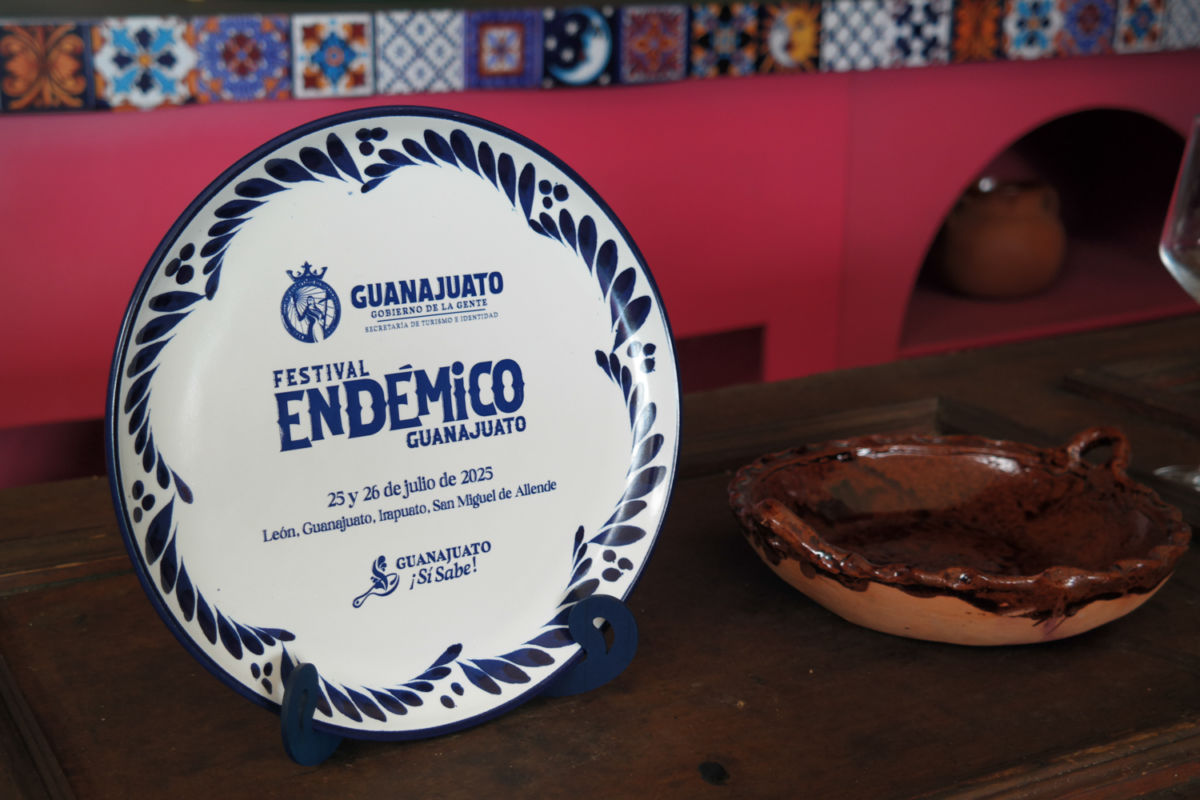 bienvenida festival endémico de guanajuato