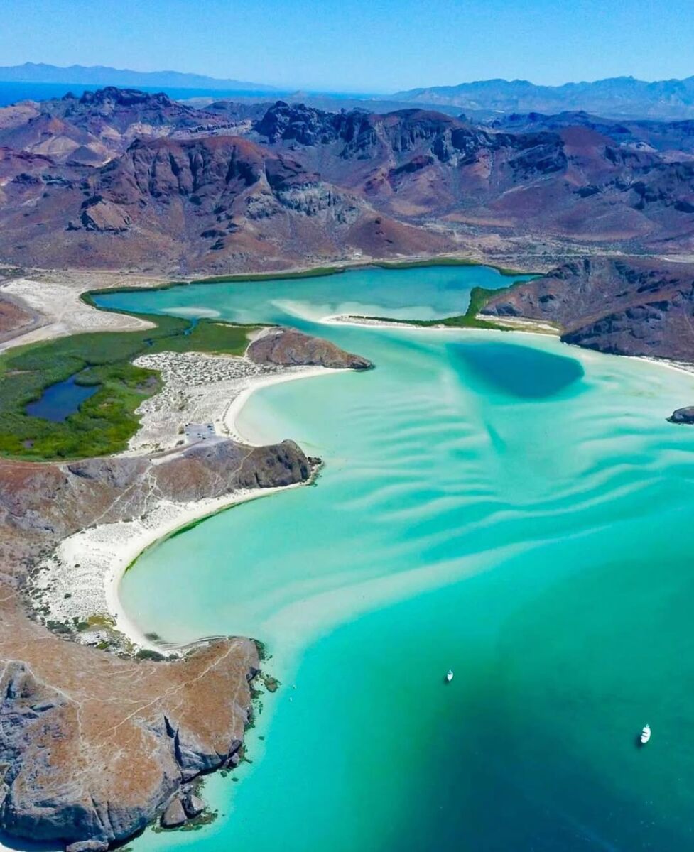 Isla Espíritu Santo es un  área natural protegida debido a la riqueza de su biodiversidad
