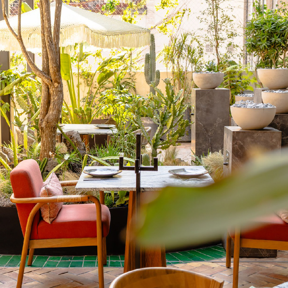 Jamás esperarías que a unos pasos del caos de Polanco, haya un jardín muy ‘chic’ para una tarde de comida y carajillos