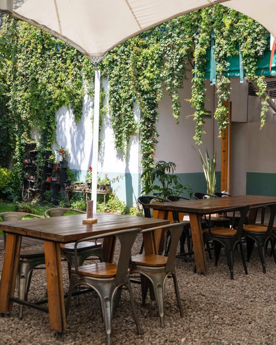 restaurante parrilla paraíso