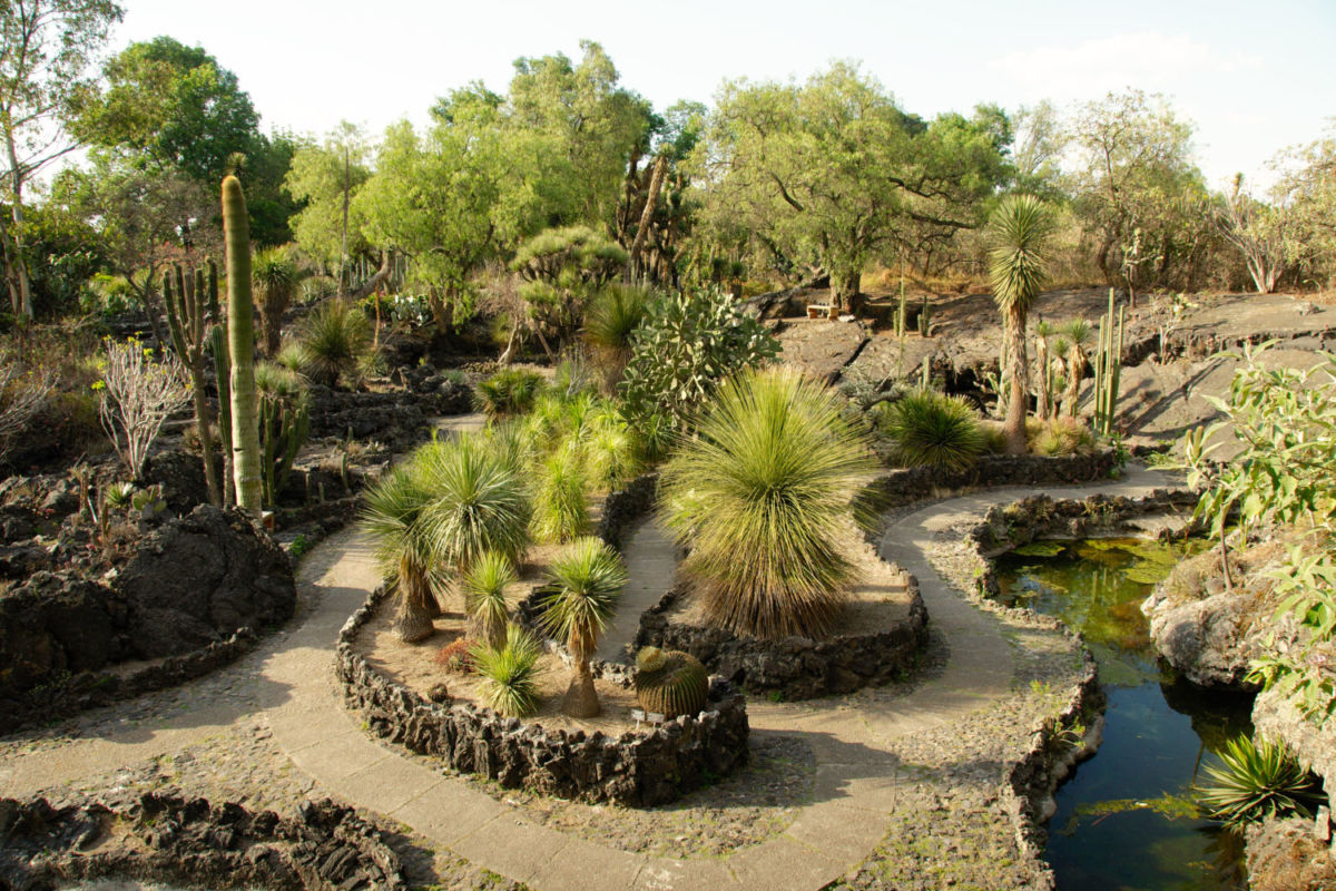 5 espacios en CDMX para reconectar contigo: silencio, naturaleza y calma